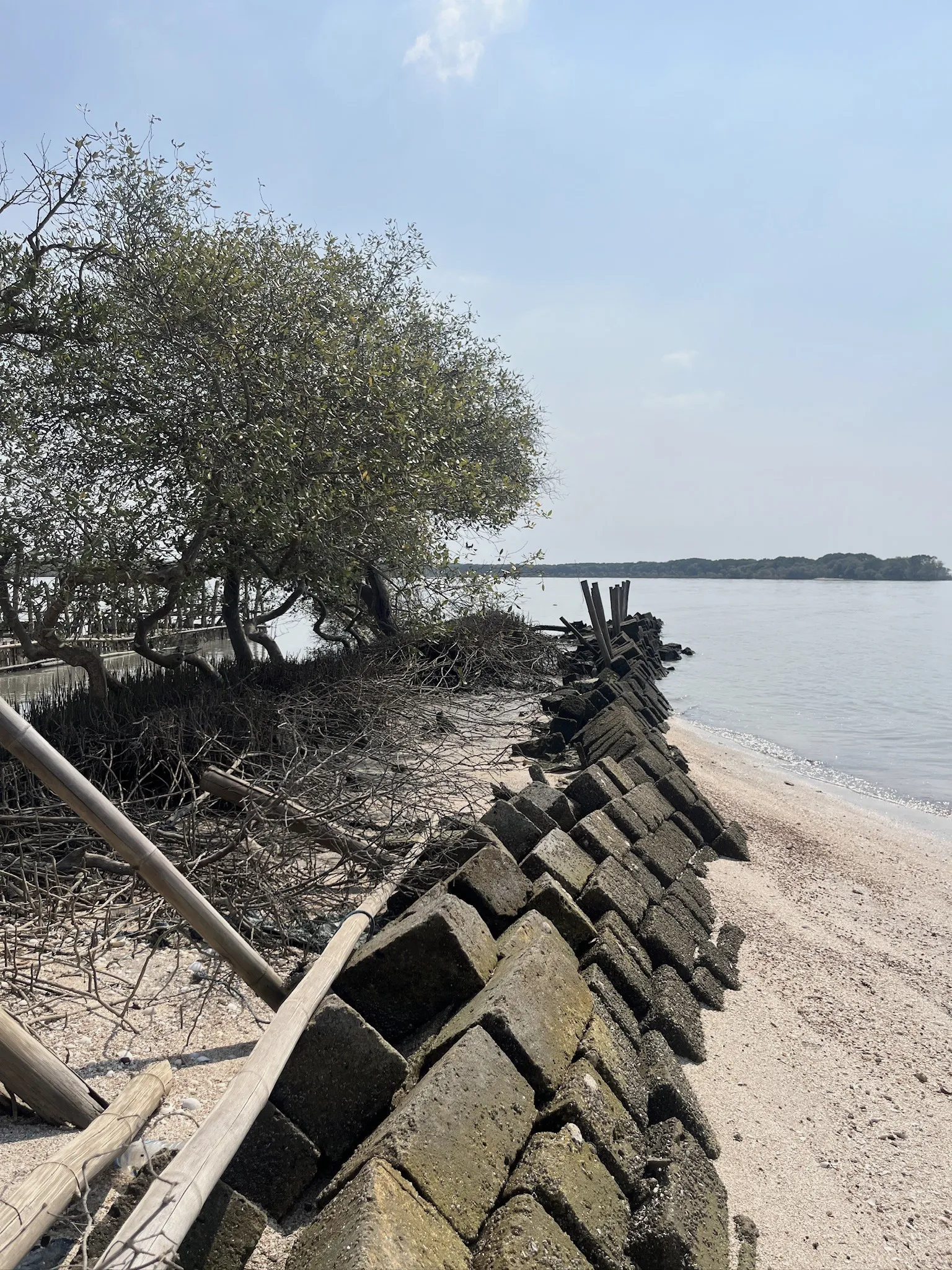 Tanggul tambak dari blok beton yang telah terabrasi