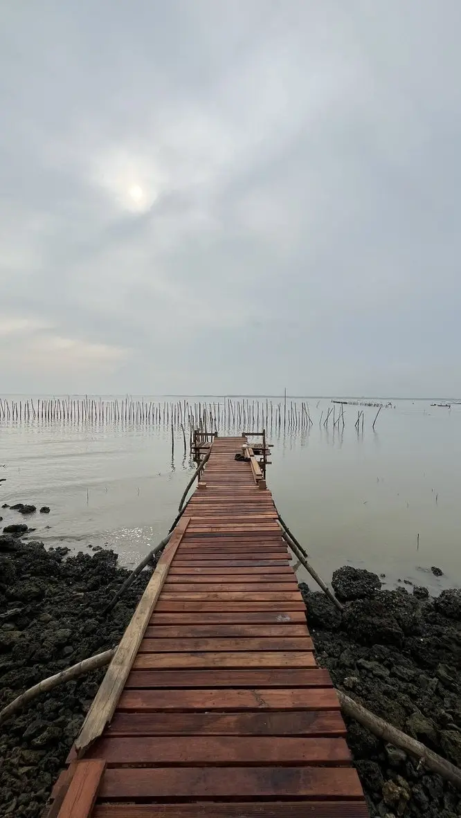 Jembatan pemantauan mangrove menuju laut di pagi berkabut