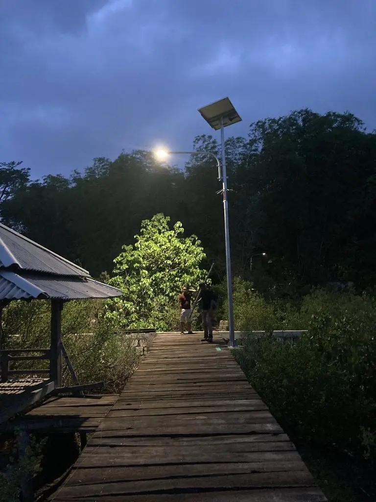 The mangrove boardwalk and a garden light at night