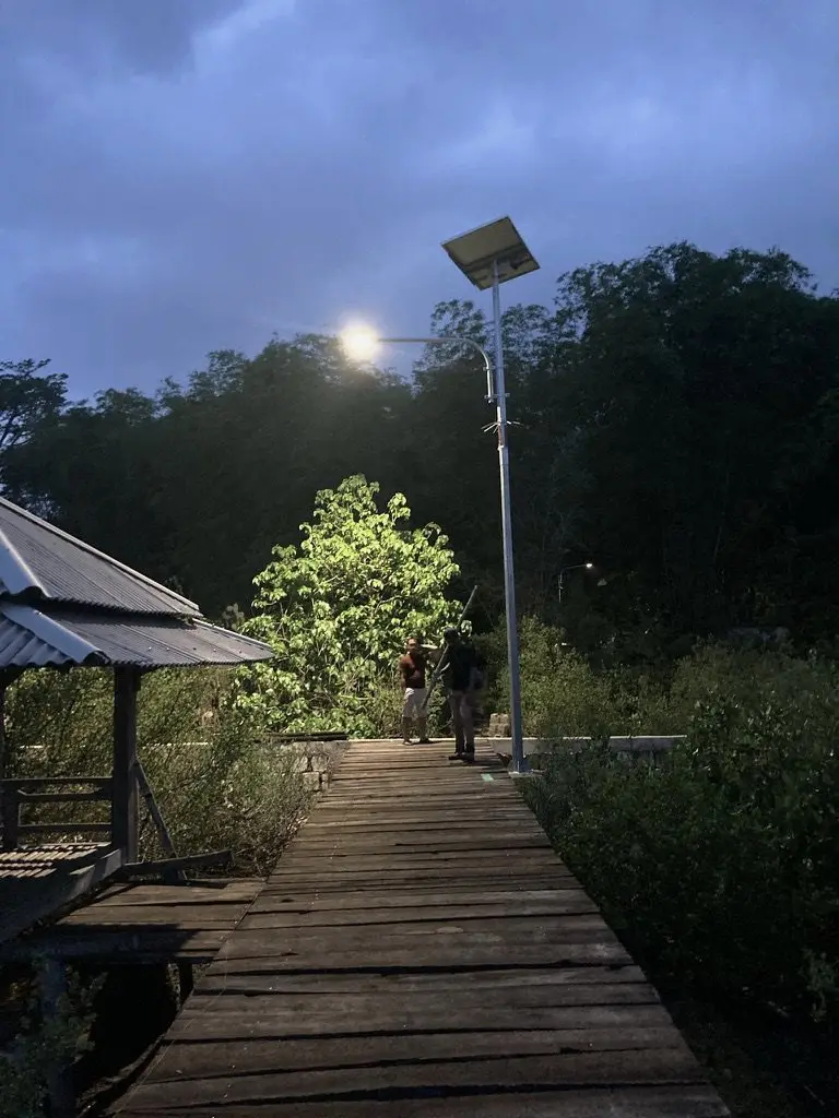 Jembatan pemantauan mangrove dan lampu taman di malam hari