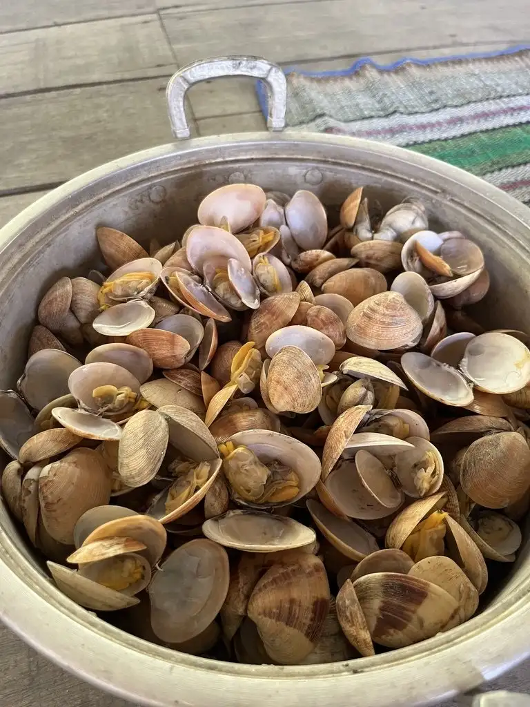 Kerang dalam panci