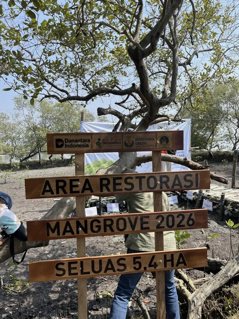 Papan penanda area restorasi mangrove baru tahun 2026, dengan target 5,4 ha