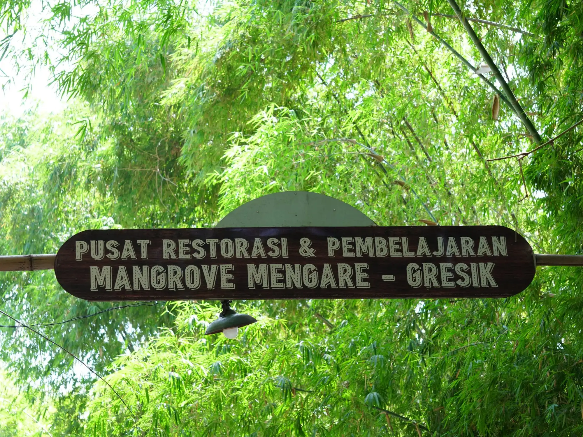 Papan nama Pusat Restorasi & Pembelajaran Mangrove Mengare di antara rumpun bambu
