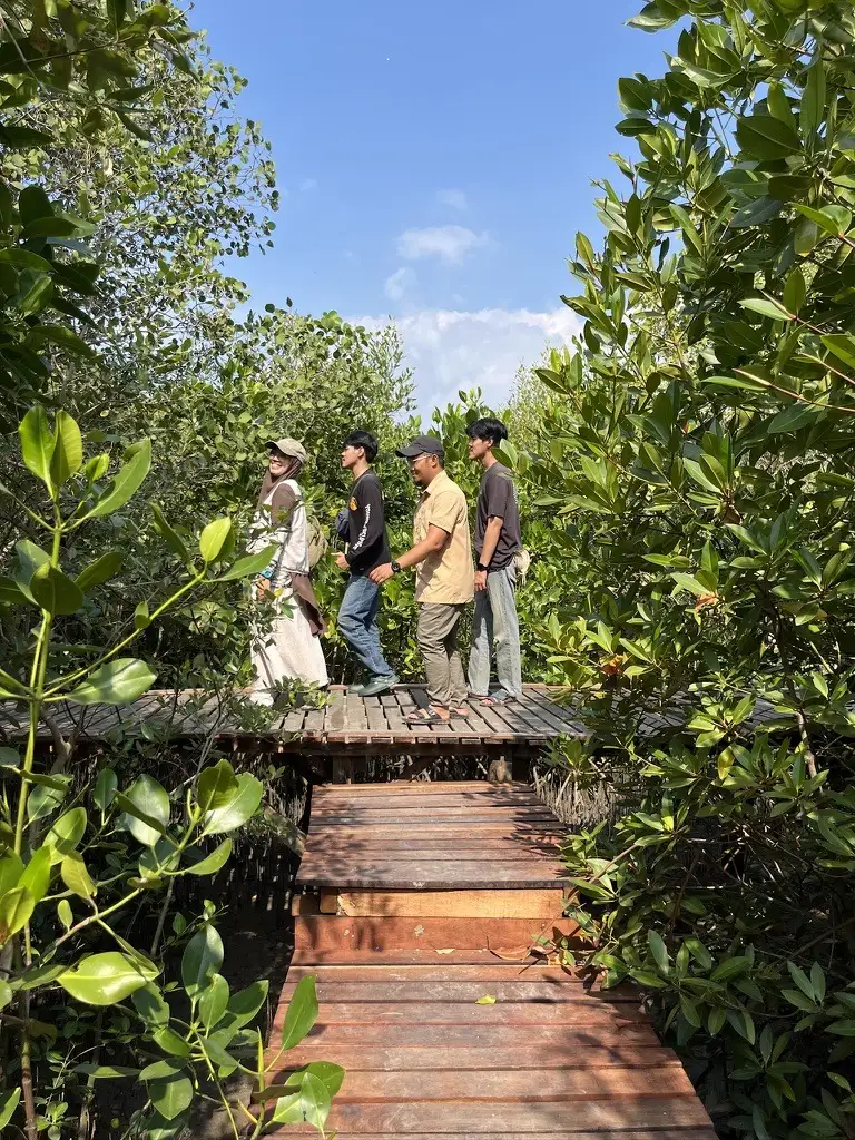Rombongan berjalan beriringan di jembatan pemantauan mangrove