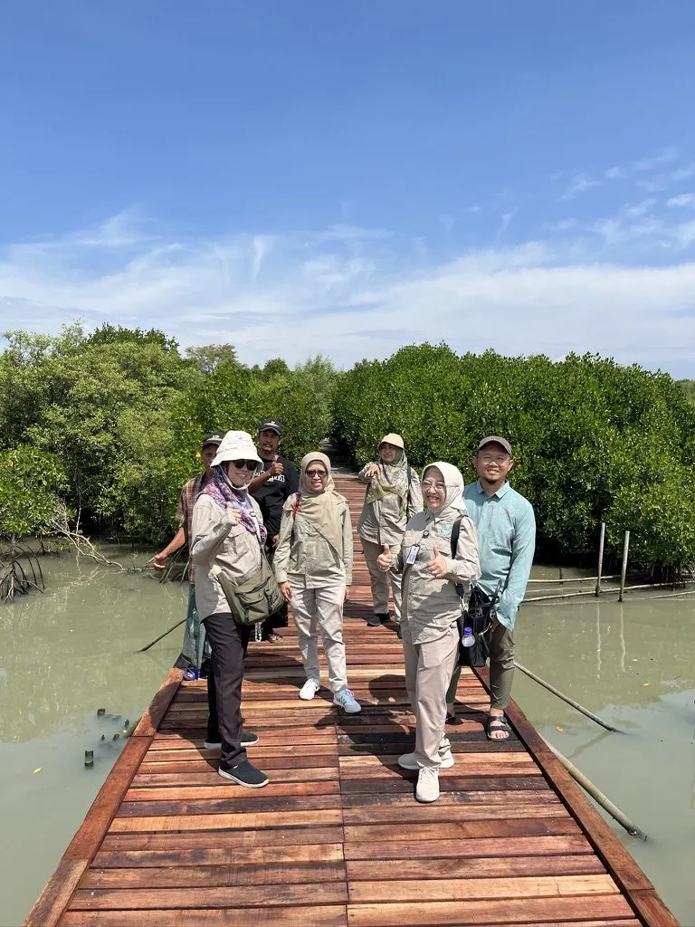 Rombongan pengunjung berjalan di jembatan pemantauan mangrove