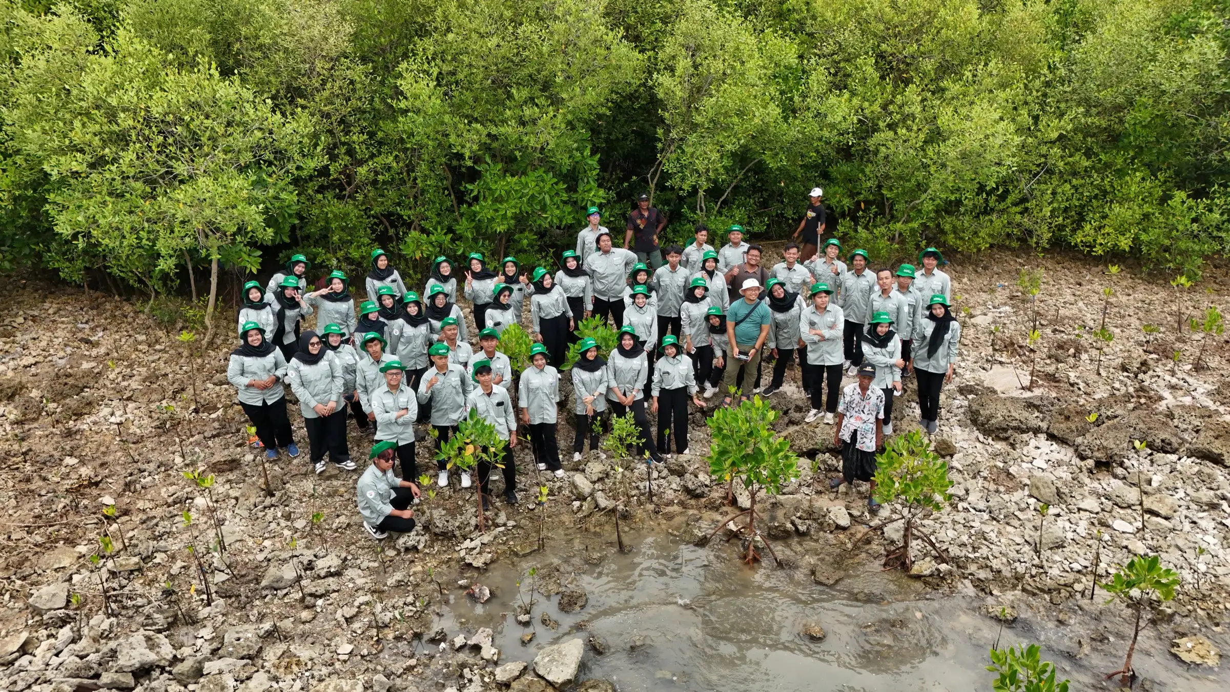 Rombongan peserta penanaman mangrove, Januari 2025