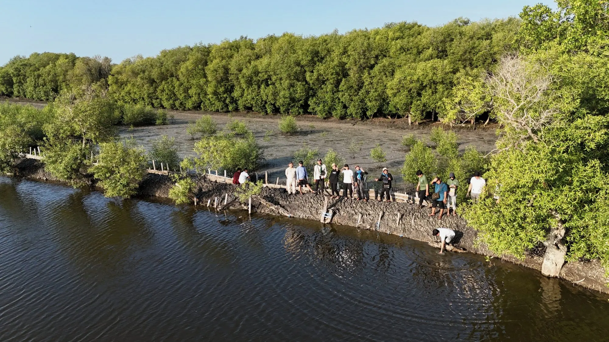 Rombongan menyusuri tepi mangrove, dilihat dari udara