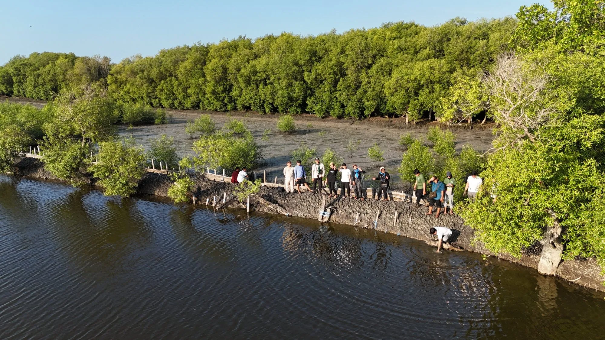 Rombongan menyusuri tepi mangrove, dilihat dari udara