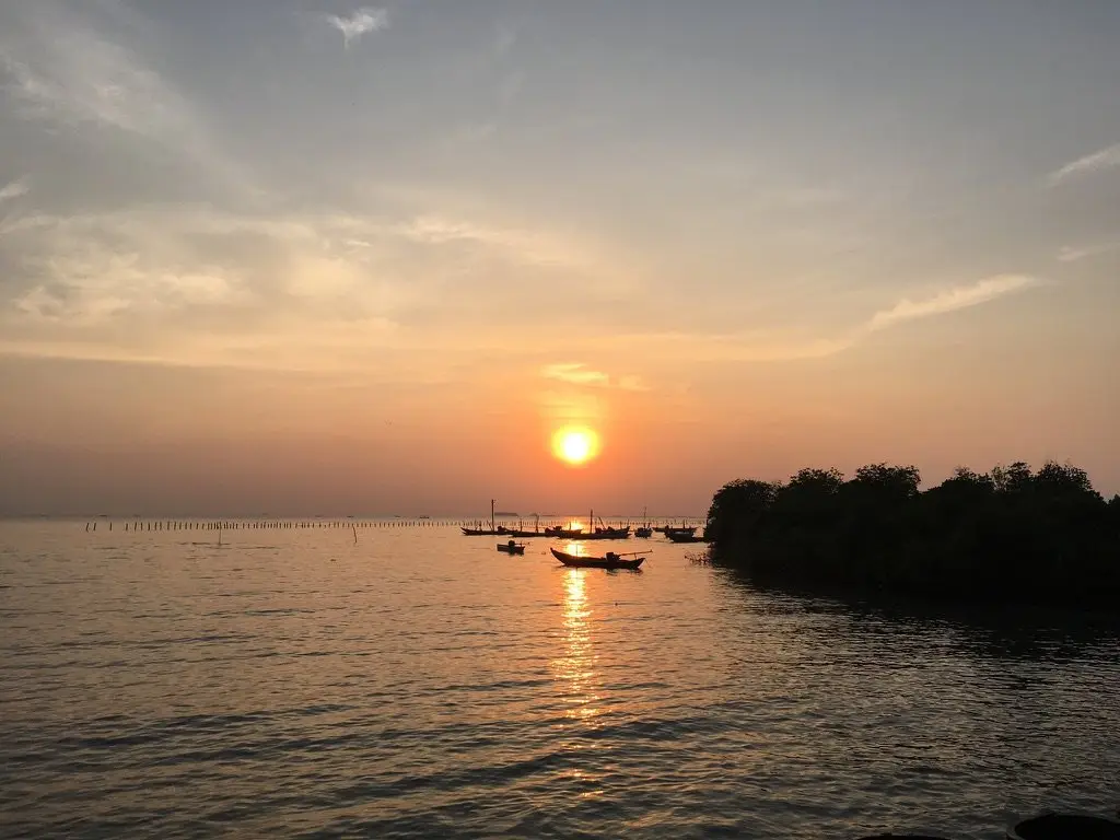 Sunset over the sea with mangroves in silhouette