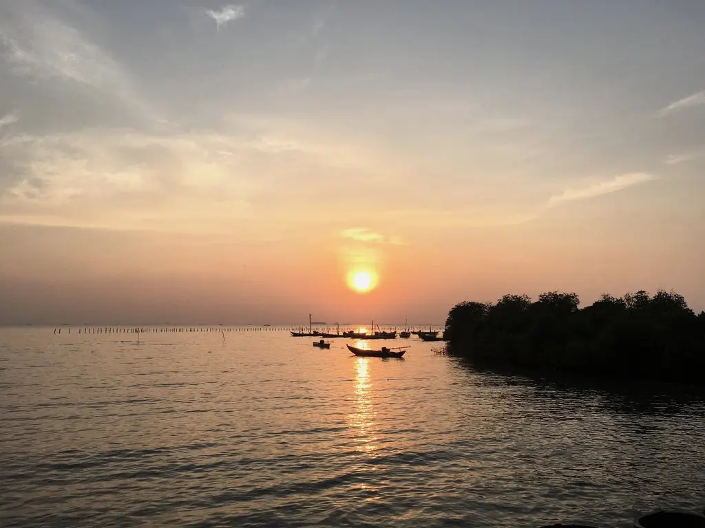 Matahari terbenam di atas laut, dengan siluet mangrove
