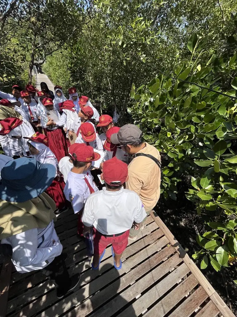 Rombongan siswa mengisi lembar pengamatan di jembatan pemantauan mangrove
