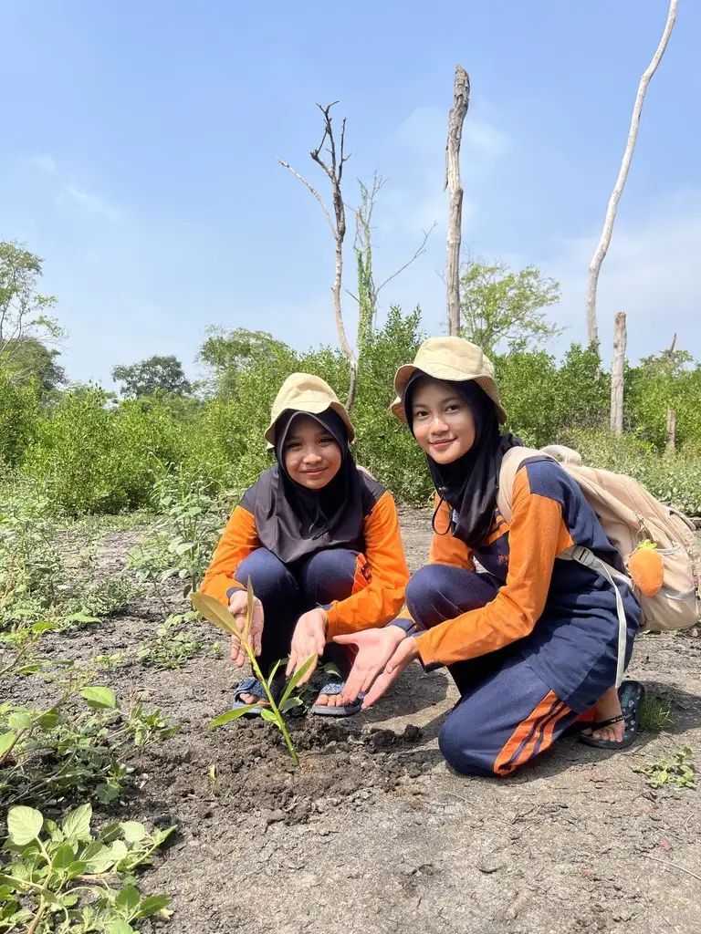 Dua siswa menanam bibit mangrove di area restorasi