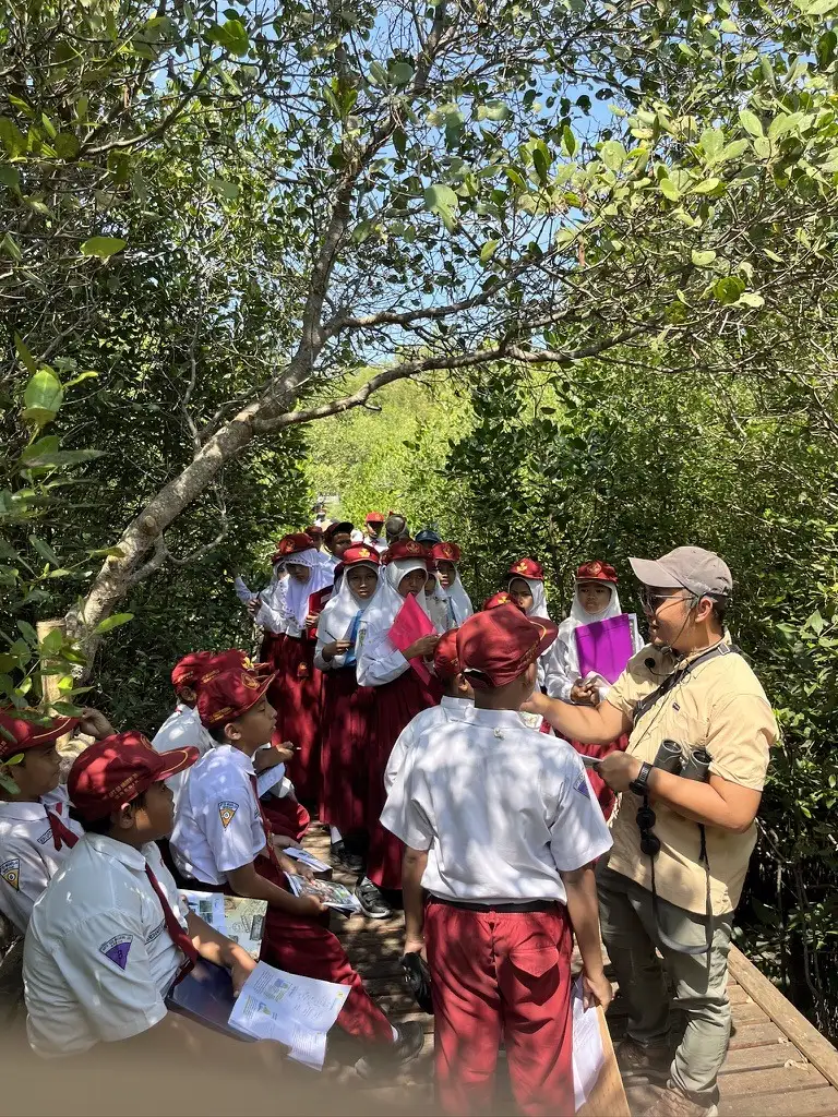 Siswa sekolah dasar mendengarkan pemandu di jembatan pemantauan mangrove