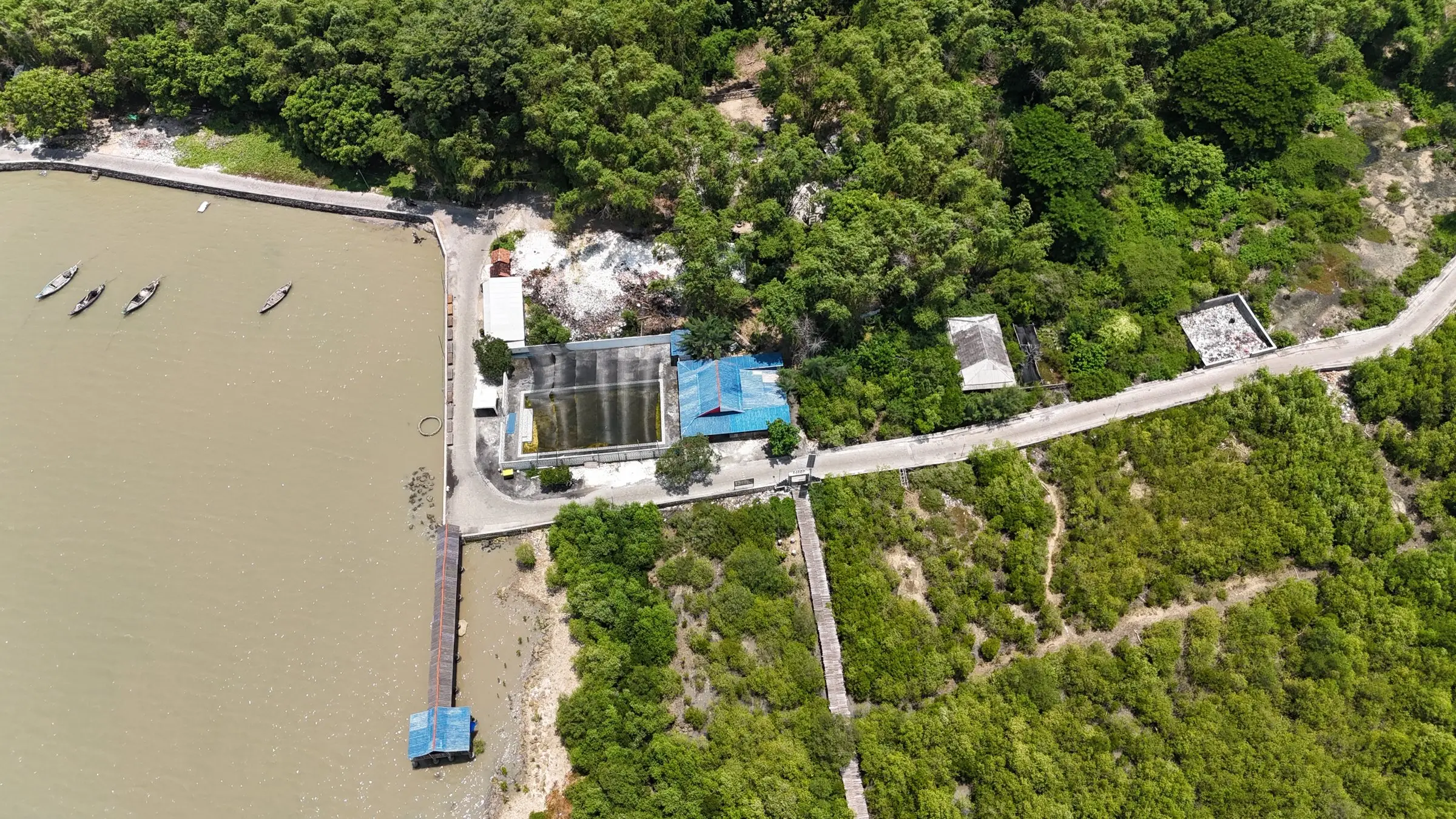 Aerial view of the jetty, fishing boats and the mangrove boardwalk among the mangroves