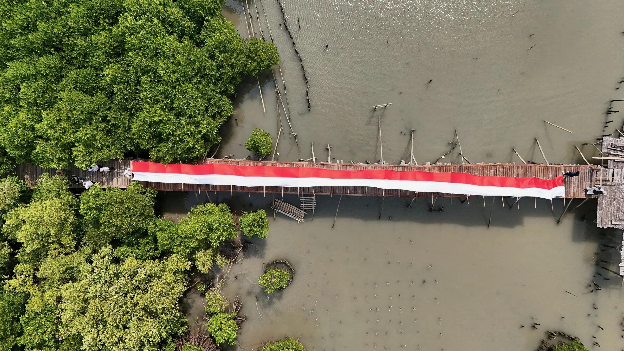 Jembatan pemantauan mangrove dilihat dari atas, Agustus 2025