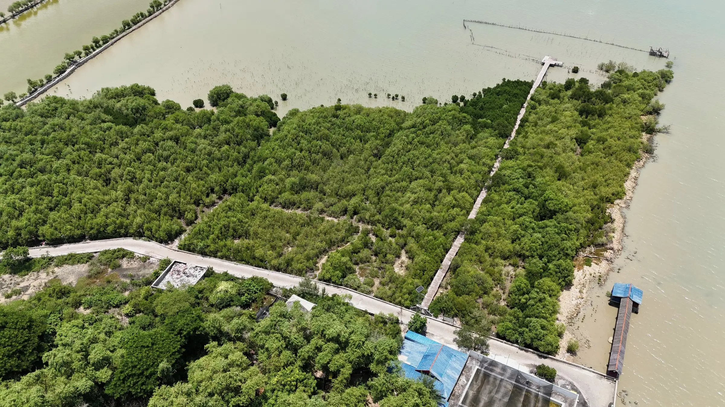 Foto udara kawasan PRPM Mengare dengan jembatan pemantauan mangrove