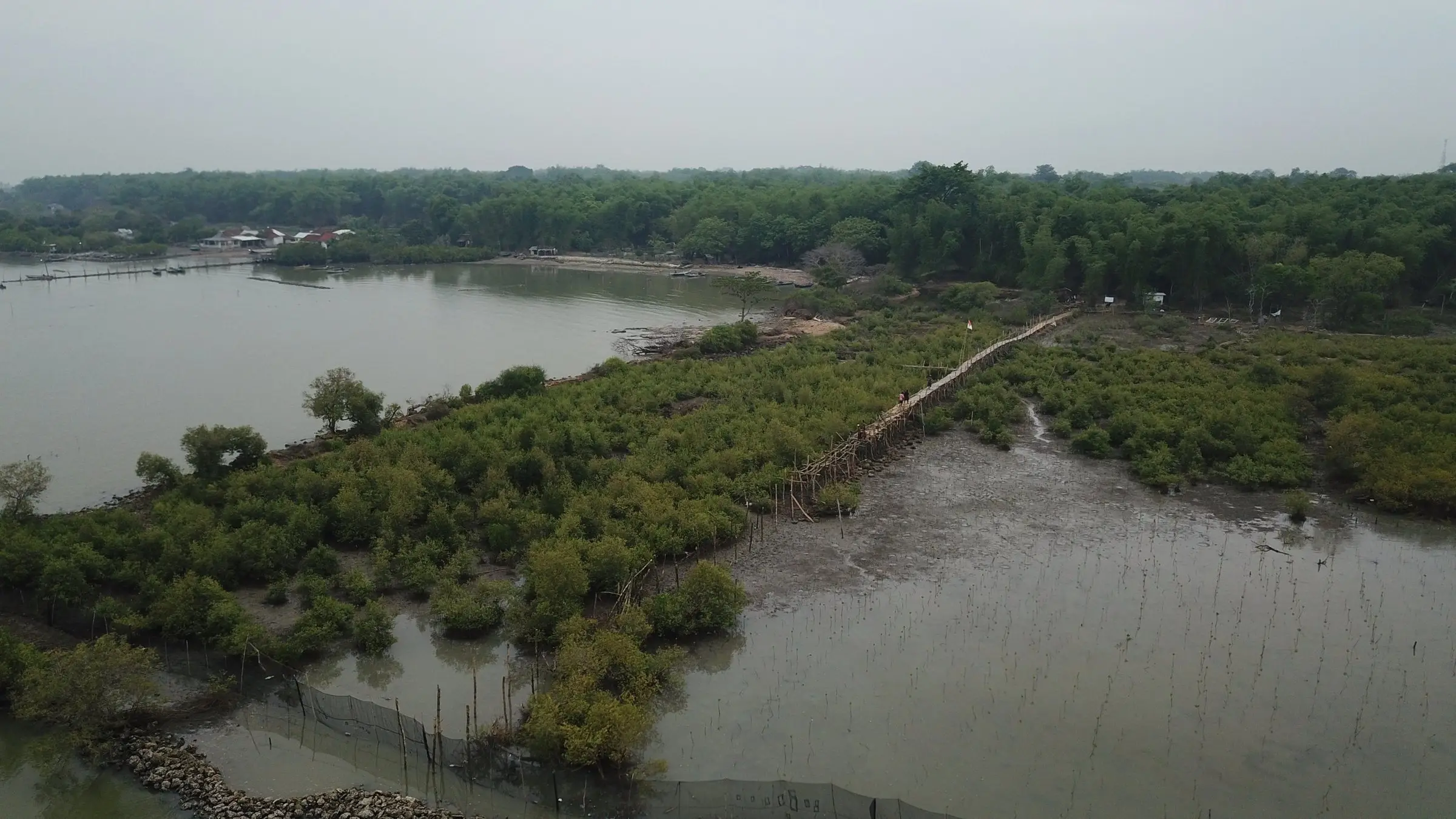 Foto udara mangrove dan tambak terabrasi di awal restorasi (2018)